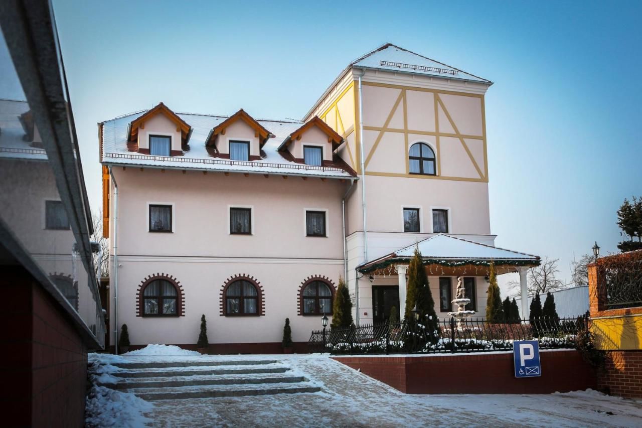 Отель Hotel Madelaine Львувек-Слёнски-32